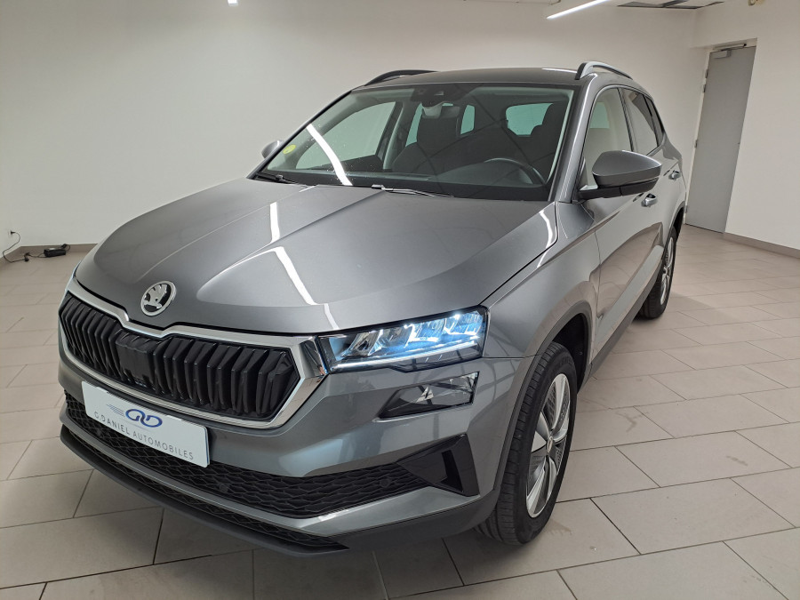 SKODA KAROQ 2.0 TDI 116 DSG7 BUSINESS occasion