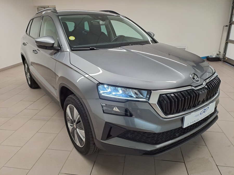 SKODA KAROQ 2.0 TDI 116 DSG7 BUSINESS occasion